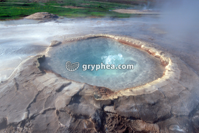 Source hydrothermale (Islande) - gryphea.org